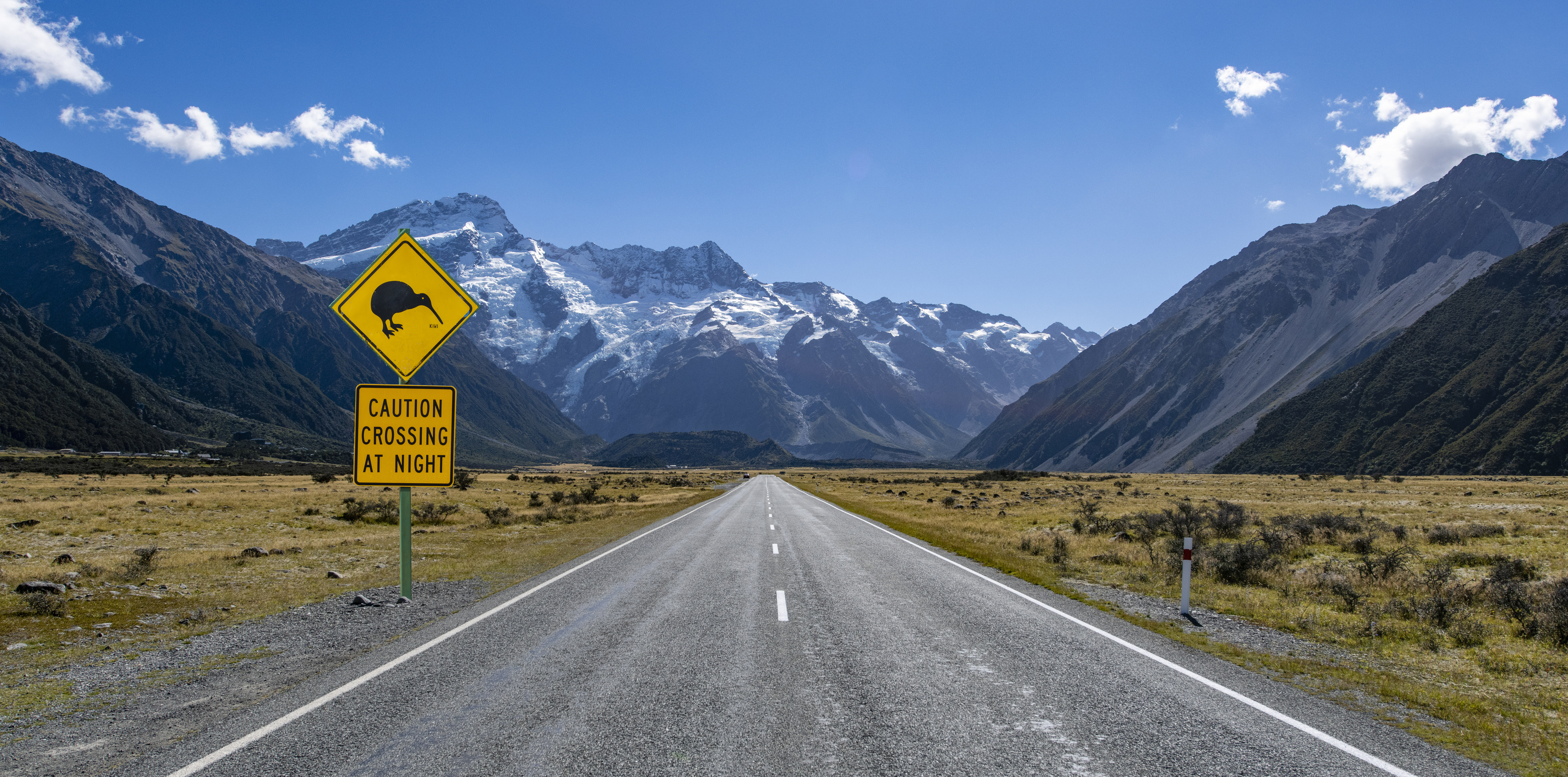 nz